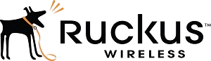assistência técnica ruckus